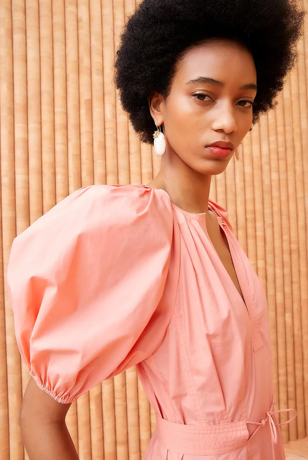 Carina Dress